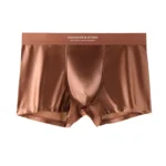 Men's Satin Ice Silk Briefs