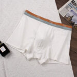 Men's Satin Ice Silk Briefs - Image 3