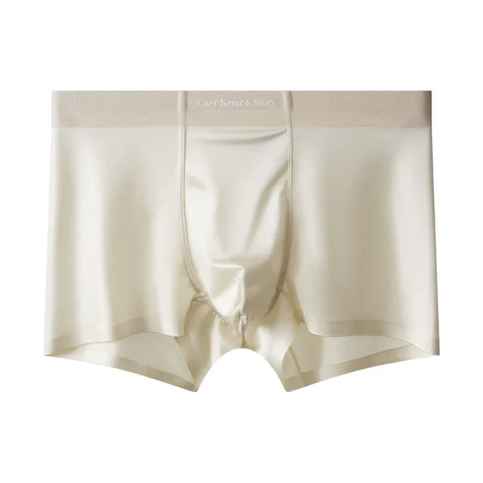 High Quality-Men's Elegant Ice Silk Underwear，Mulberry Silk Antimicrobial Boxer Briefs - Image 1