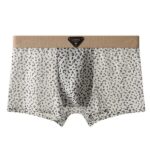 Huajielong Ice Silk New Men's Underwear Printed(1piece) - Image 2