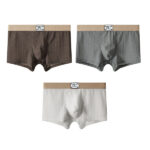 Huajielong ice silk new men's underwear solid color - Image 7