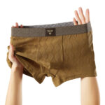 New 2026 Huajielong Men's Boxer Briefs Cotton - Image 5