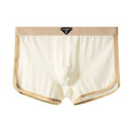 Huajielong Bingsi New Men's Underwear - Image 5