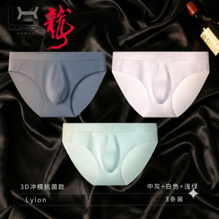 3D Pouch Men's Ice Silk Briefs Ultra-thin Underpants 3PCS