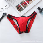 Male Panties Thong Low Waist T-Pants Bladder Soft And Comfortable Double Thong - Image 2
