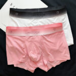 Summer Men's Ice Silk Underwear Boxer Briefs Breathable (3 piece Combo) - Image 4