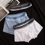 Summer Men's Ice Silk Underwear Boxer Briefs Breathable (3 piece Combo) - Image 2