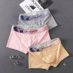 Men's ice silk boxer summer breathable (3 piece Combo)